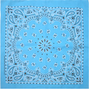 Bandana carolina